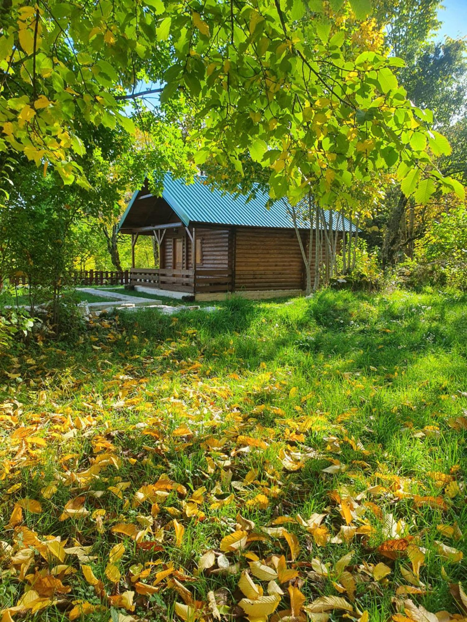 Cabin House Dubovik Cetinje Luaran gambar