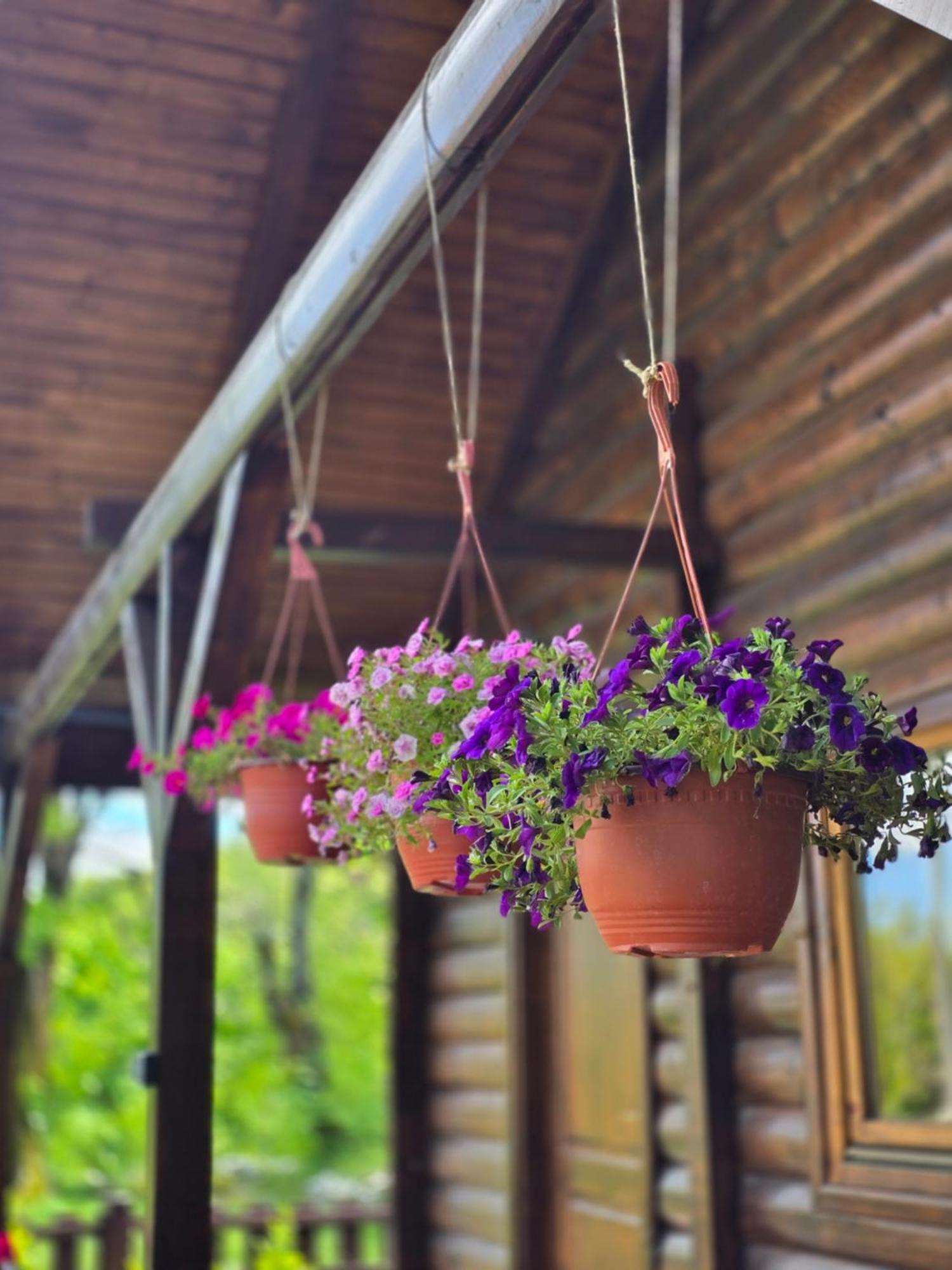 Cabin House Dubovik Cetinje Luaran gambar